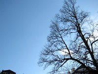 IMG 1568
