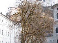 IMG 1701