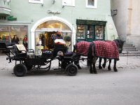 IMG 2153