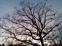 WP 20141221 17 24 38 Pro