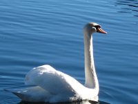 IMG 2667