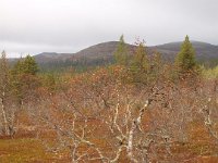P9237240