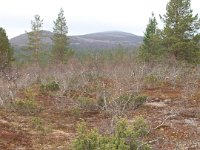 P9237241