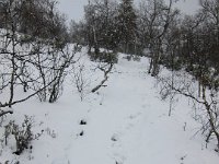 IMG 3240