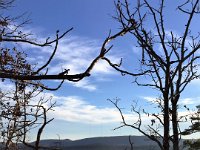 20160101 220430171 iOS