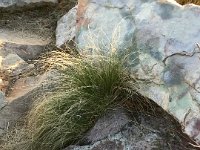 20160101 222131268 iOS