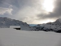 IMG 3516