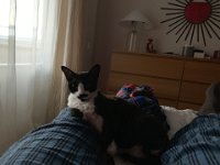 20190214 143536923 iOS
