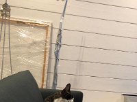 20190327 170329175 iOS