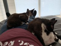 20191024 081041775 iOS