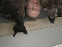20191119 110206711 iOS